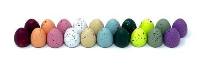 Can you run out of eggs in wingspan?