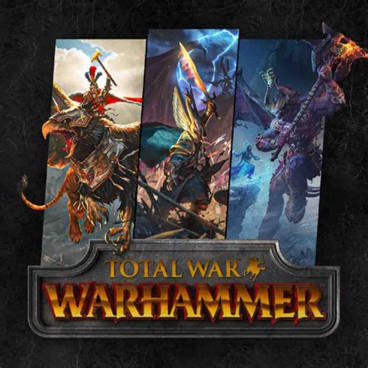 Do any Total War games have multiplayer campaign?