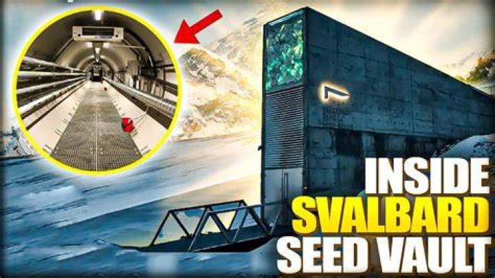 How does Valakut and Scapeshift work?