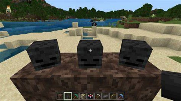 Where can I find Wither skeletons?