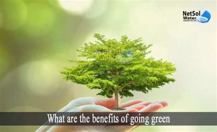 Why is going green better for the environment?